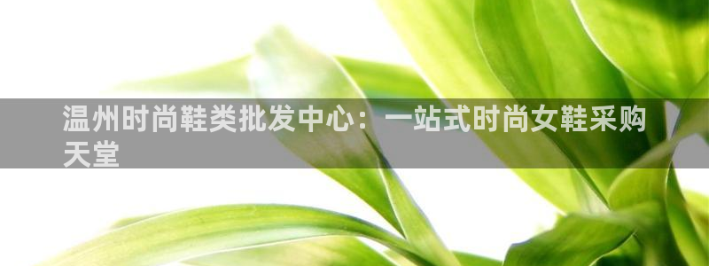 ag旗舰厅手机版